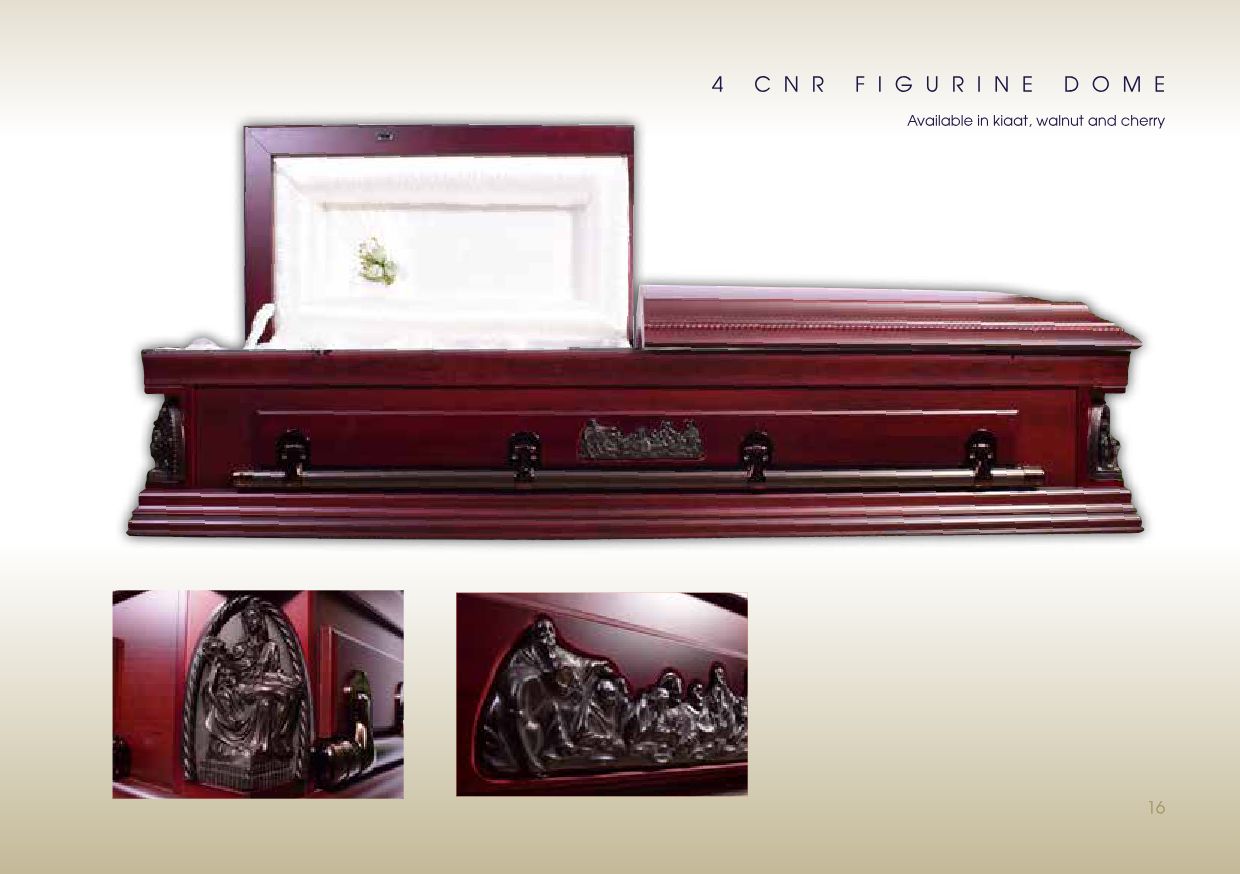 SAFS BROCHURE(2020) AMENDED-17 SAFS BROCHURE(2020) AMENDED-17