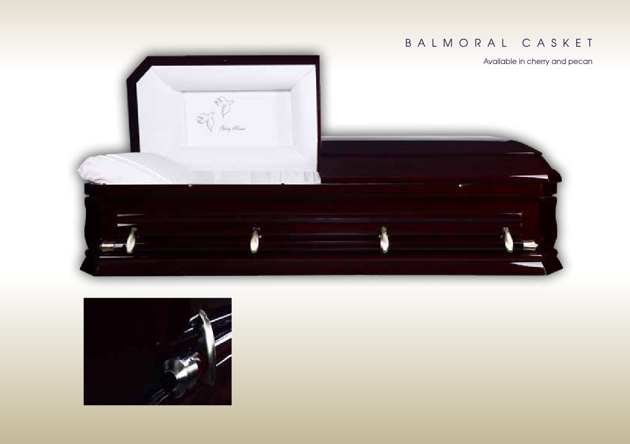 SAFS BROCHURE(2020) AMENDED-30 SAFS BROCHURE(2020) AMENDED-30