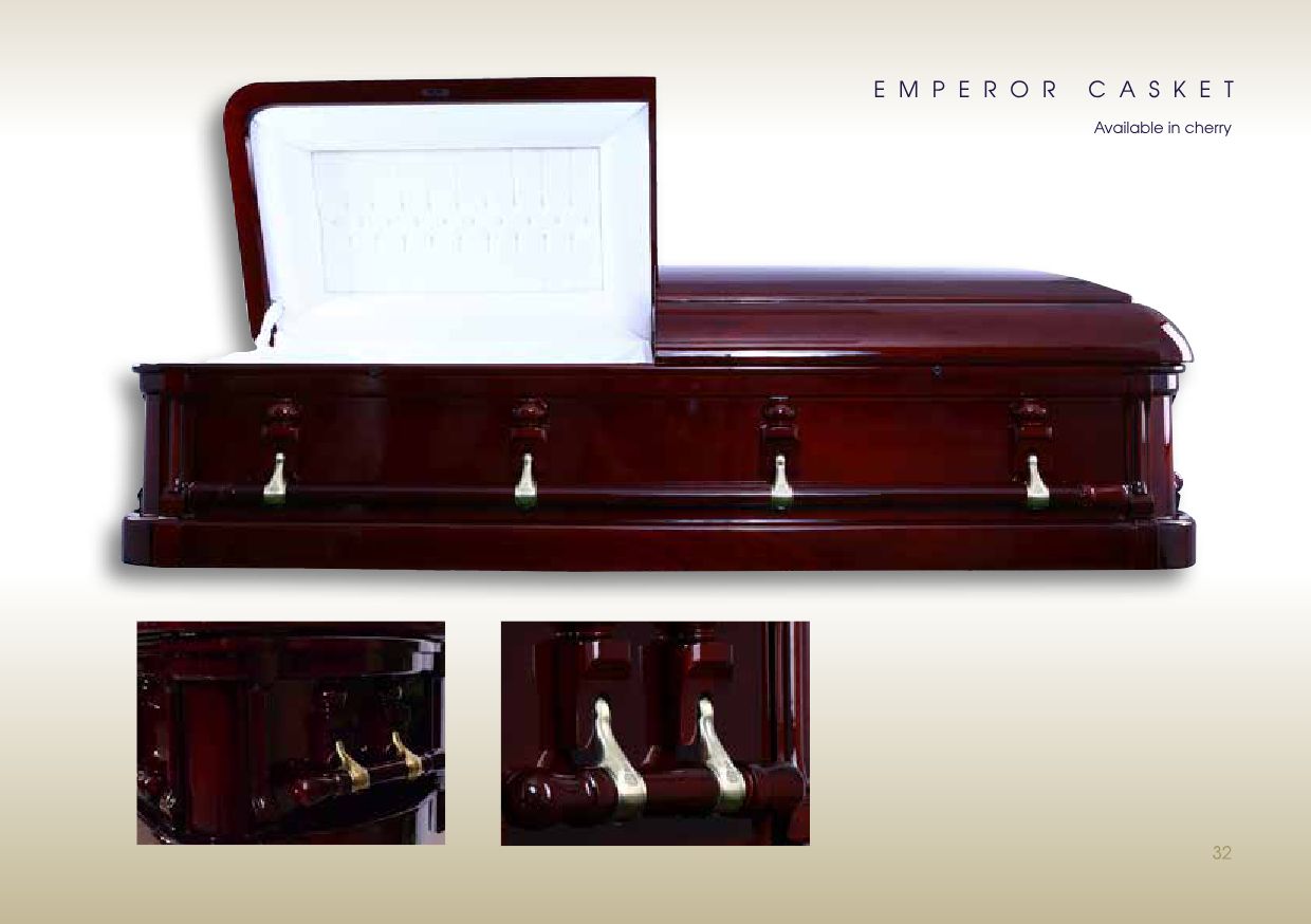 SAFS BROCHURE(2020) AMENDED-33 SAFS BROCHURE(2020) AMENDED-33